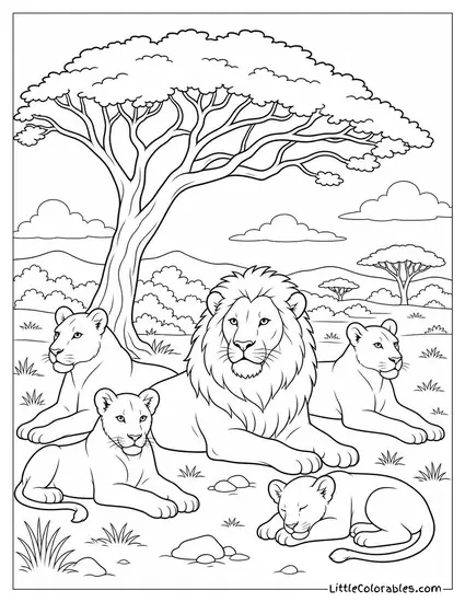 A Lion Pride Resting Under an Acacia Tree in the Midday Heat Coloring Page