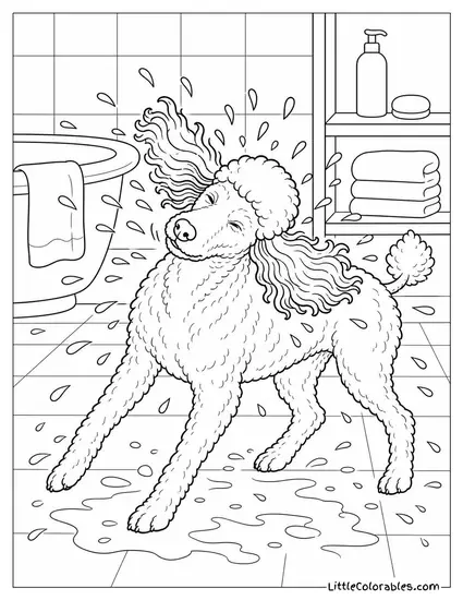 A Poodle Shaking Itself Dry After a Bath with Fur Flying Everywhere Coloring Page
