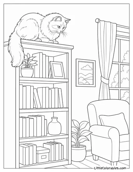 A Ragdoll Cat Sitting on a High Bookshelf Watching the Room Below Coloring Page
