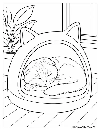 A Scottish Fold Asleep in a Cat Bed Shaped Like a Hood Coloring Page