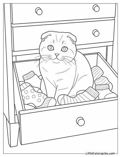 A Scottish Fold Sitting Inside an Open Drawer Full of Socks Coloring Page