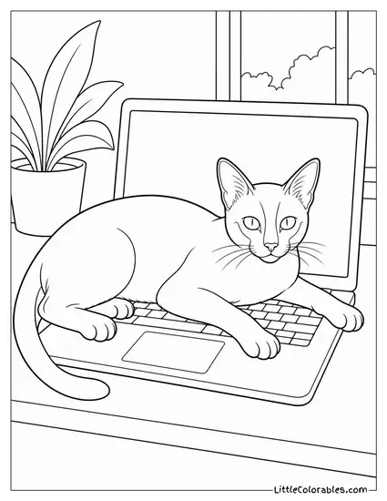A Siamese Cat Draping Itself Across a Laptop Keyboard Coloring Page