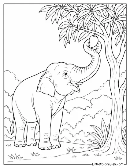 An Asian Elephant Using Its Trunk to Pick a Single Mango from a Tree Coloring Page