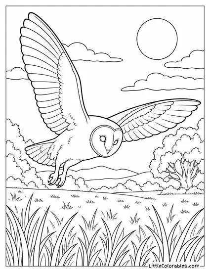Barn Owl Hunting in Silence Across a Moonlit Meadow Coloring Page