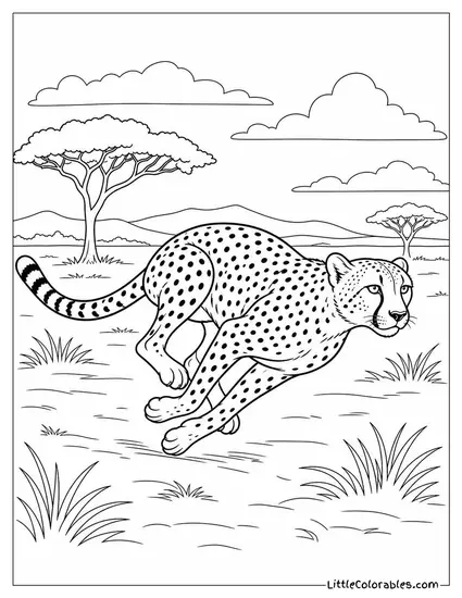 Cheetah Sprinting Flat Out Across Open African Savanna Coloring Page