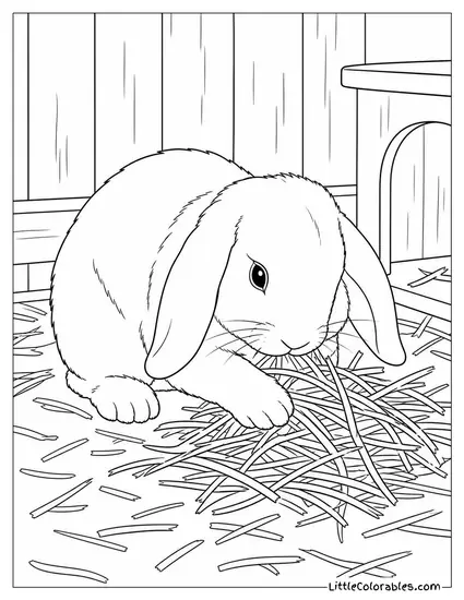 Lop Rabbit Rearranging Its Hay Pile with Its Nose and Paws Coloring Page