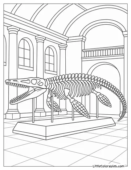 Mosasaurus Skeleton Mounted in a Vast Natural History Museum Hall Coloring Page