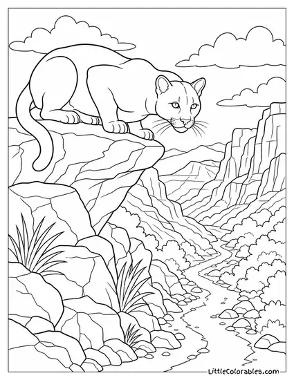 Mountain Lion Crouching on a Rocky Ledge Above a Canyon Trail Coloring Page