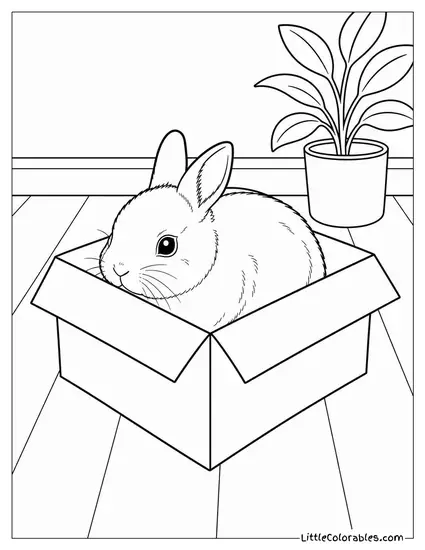 Netherland Dwarf Rabbit Fitting Completely Inside a Small Cardboard Box Coloring Page