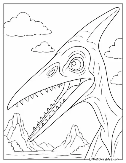 Pterodactyl Face Close-Up Showing Its Long-Toothed Beak Coloring Page