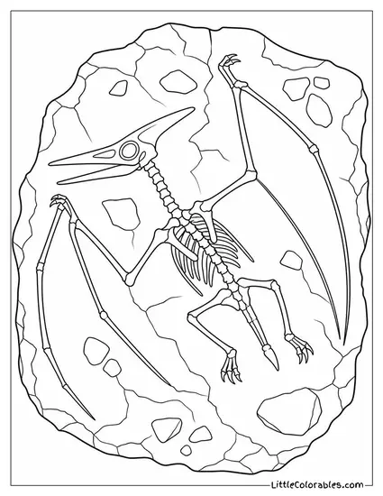 Pterodactyl Fossil Impression in a Flat Piece of Dark Shale Coloring Page