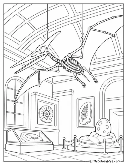Pterodactyl Skeleton Displayed in a Natural History Museum Ceiling Coloring Page
