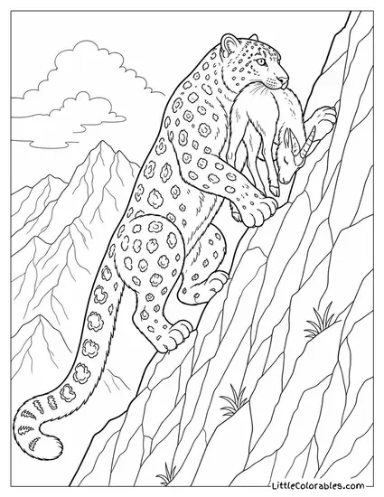 Snow Leopard Carrying Prey Up a Near-Vertical Cliff Face Coloring Page