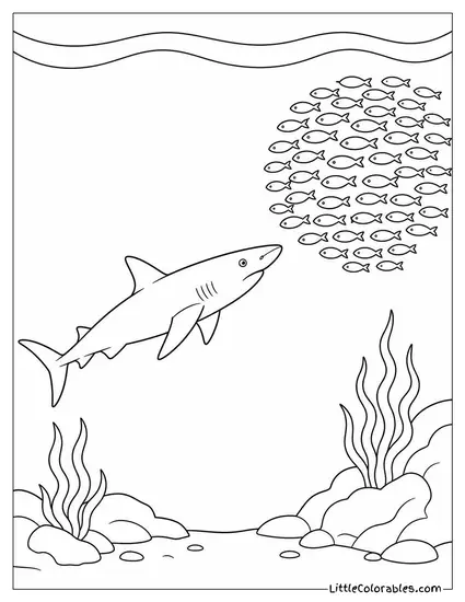 Blue Shark Attracted to a Baitball from Distance Coloring Page