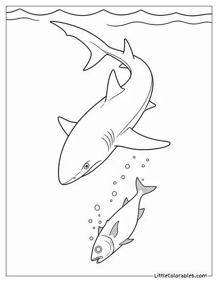 Blue Shark Spiraling Downward Following Sinking Prey Coloring Page