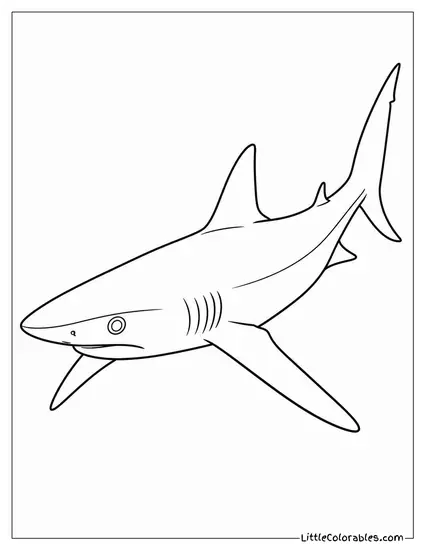 Blue Shark Travelling in Open Water Fins Spread Coloring Page
