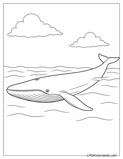 Blue Whale Cruising at the Surface Coloring Page