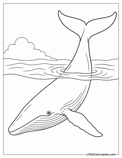 Blue Whale Turning Slowly Flukes Rising to Dive Coloring Page