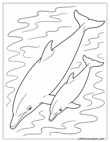 Bottlenose Dolphin and Calf Seen from Above Coloring Page