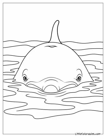 Bottlenose Dolphin Surfacing Slowly Eyes Just Above Water Coloring Page