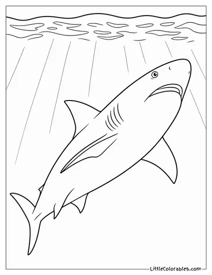 Bull Shark Ascending from Depth Toward the Surface Coloring Page