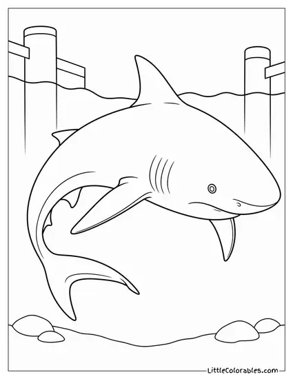Bull Shark Circling in Murky Harbour Water Coloring Page