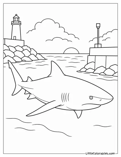 Bull Shark Patrolling a Harbour Entrance at Dusk Coloring Page
