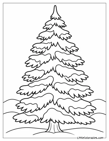 Christmas Tree with Snow Still on Its Branches Coloring Page