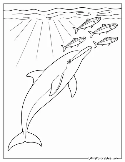 Dolphin Chasing Mackerel to the Surface Coloring Page