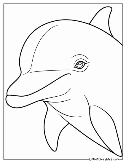 Dolphin Face Close-Up with Intelligent Eye Coloring Page