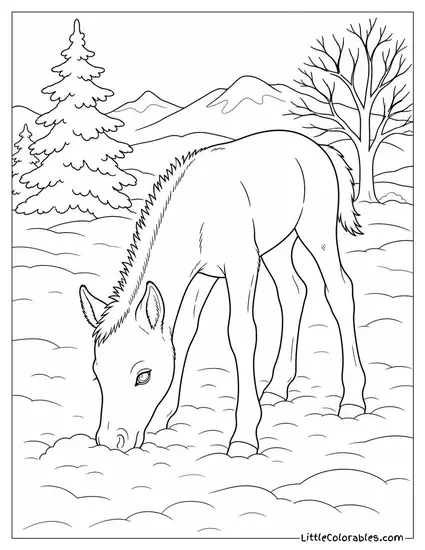 Foal Discovering Snow for the First Time Pressing Its Nose Into It Cautiously Coloring Page
