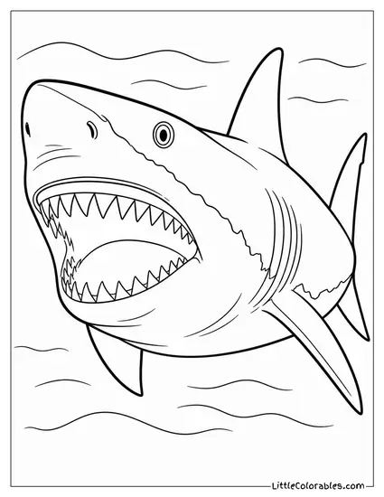 Great White Shark Close-Up with Serrated Teeth Coloring Page