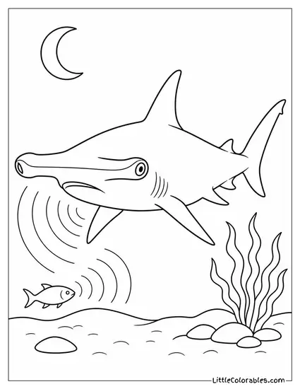 Hammerhead Hunting at Night Using Electroreception Coloring Page