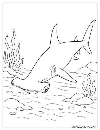 Hammerhead Scanning the Seafloor with Its Wide Head Coloring Page