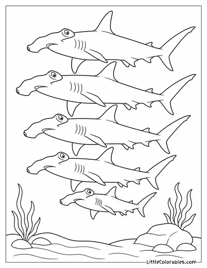 Hammerhead School Swimming in Tight Formation Above Coloring Page