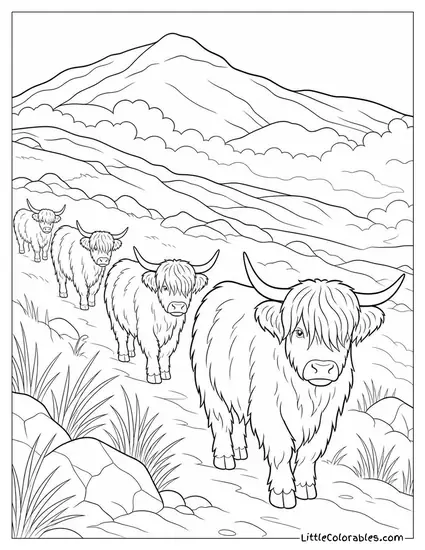 Highland Cattle Herd Moving Across a Scottish Moor in Rolling Mist Coloring Page