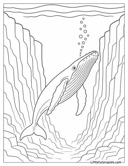 Humpback Whale Singing Alone in a Deep Canyon Coloring Page