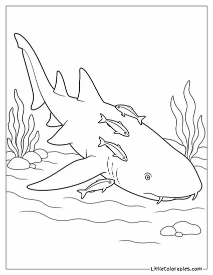 Nurse Shark Being Cleaned by Small Fish Coloring Page
