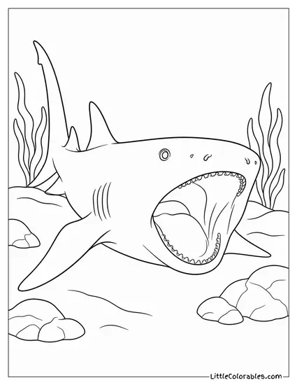 Nurse Shark Yawning Wide Showing Its Small Teeth Coloring Page