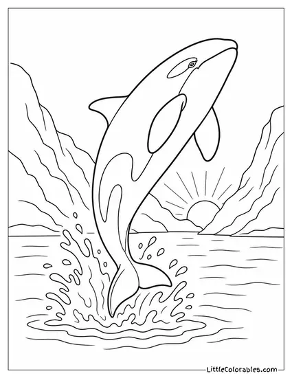 Orca Breaching Completely in a Fjord at Dawn Coloring Page