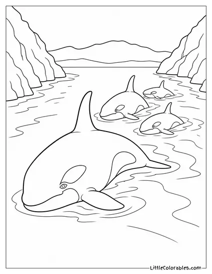 Orca Matriarch Leading Her Family Through a Channel Coloring Page