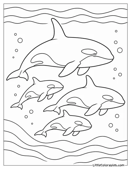Orca Pod Travelling in a Tight Family Group Coloring Page