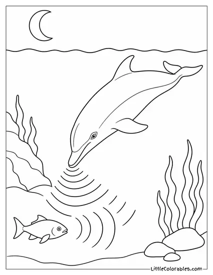 Pod Hunting at Night Using Echolocation Coloring Page