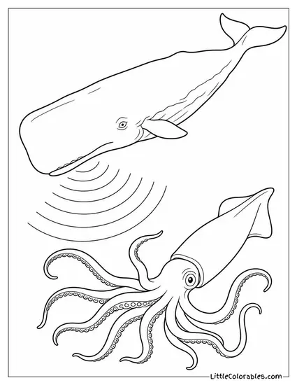 Sperm Whale Clicking in Darkness Hunting Giant Squid Coloring Page