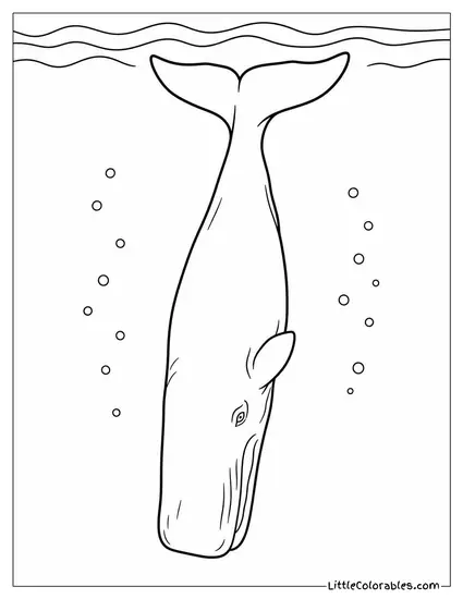 Sperm Whale Diving Vertically Showing Its Flukes Coloring Page
