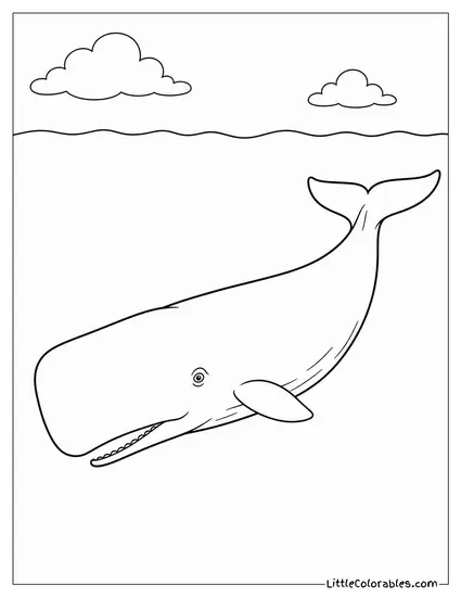 Sperm Whale Floating Motionless with Fluke Tips Showing Coloring Page