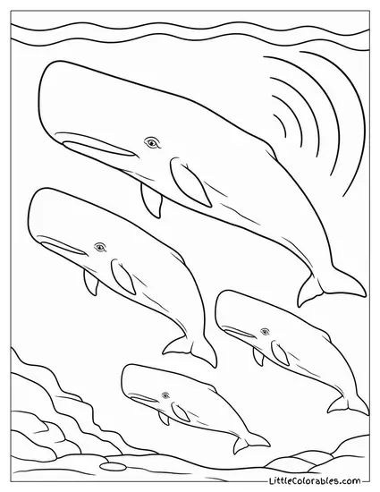 Sperm Whale Pod Turning at a Distress Call Coloring Page