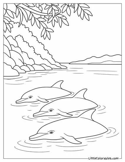 Spinner Dolphins Resting in a Shaded Bay Coloring Page