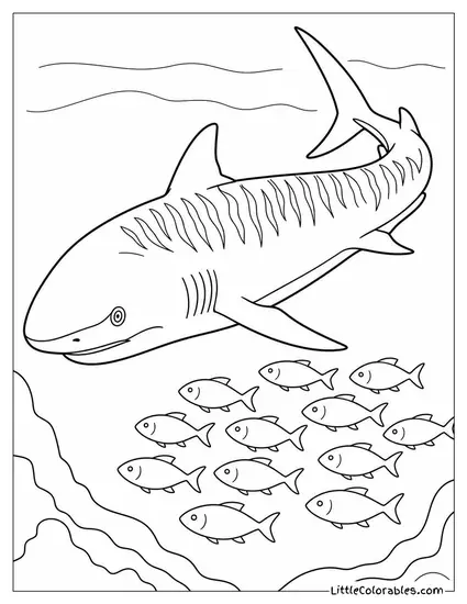 Tiger Shark Circling a Fish School Slowly Coloring Page