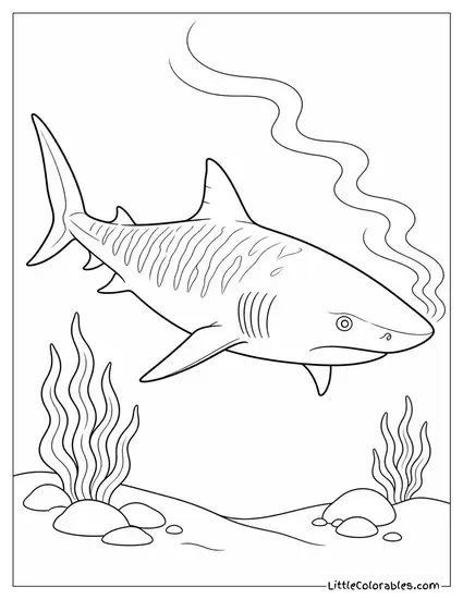 Tiger Shark Following a Scent Trail Through Water Coloring Page